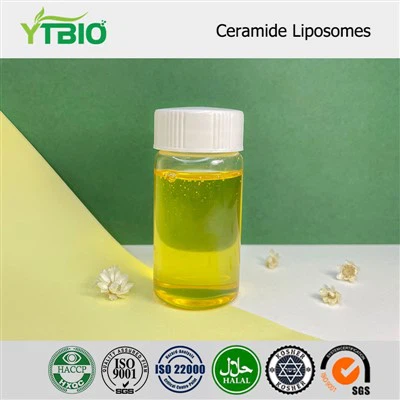 Liposomy ceramidowe