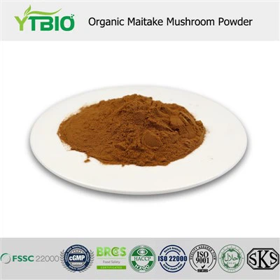 Organiczny proszek z grzybów Maitake